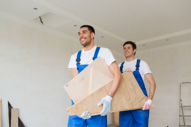 Best Attic Cleanout  in Luck, WI
